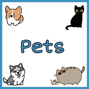Pets!!